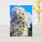春の白い花を咲かせた梨の枝 カード (黄色い花)