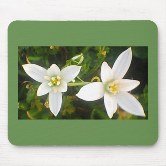 春の白い開花開花 マウスパッド (正面)