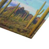 春の砂漠 カッティングボード (角)