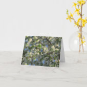 春の空白のなカード#2 02の桜 カード (黄色い花)