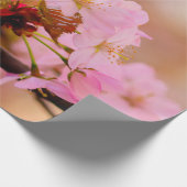 春の素敵なソフトピンクの桜の花 ラッピングペーパー (角)