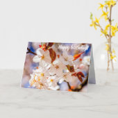 春の素晴らしい桜の花の束 カード (黄色い花)