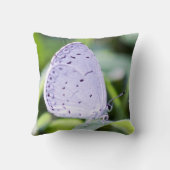 春の紺碧の蝶装飾用クッション クッション (裏面)