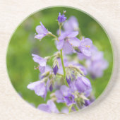 春の緑の草原に咲く繊細な青い花 コースター (正面)