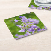 春の緑の草原に咲く繊細な青い花 スクエアペーパーコースター (アングル)