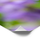 春の緑の草原に咲く繊細な青い花 ポスター (コーナー)