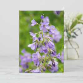 春の緑の野に繊細な青い花