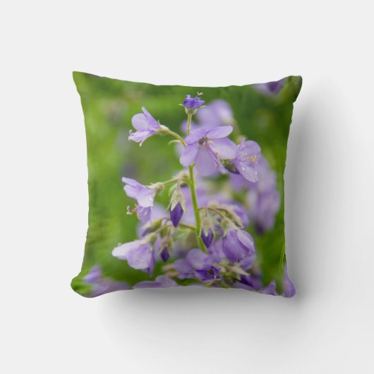 春の緑の野に繊細な青い花 クッション (正面)
