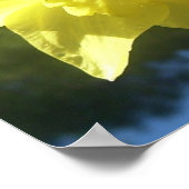 春の美しい水仙のカスタマイズ可能なポスター ポスター (角)