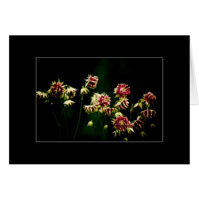 春の聖歌隊 (正面横)