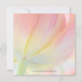 春の色彩 • 結婚式のお知らせカード セーブザデート (裏面)