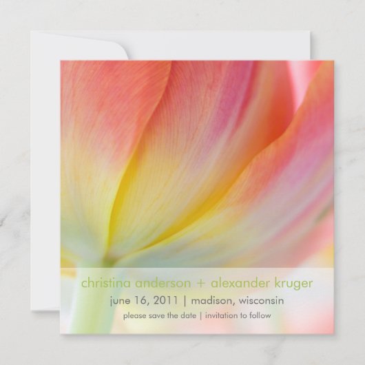 春の色彩 • 結婚式のお知らせカード セーブザデート (正面)