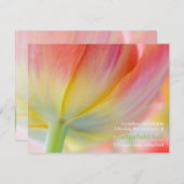 春の色彩 • 結婚式の招待状 招待状 (正面/裏面)