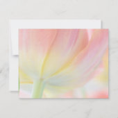 春の色彩 • 結婚披露宴招待状 招待状 (裏面)