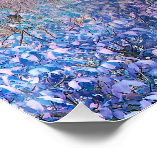 春の色相… ポスター (コーナー)