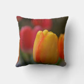 春の色装飾用クッション クッション (裏面)