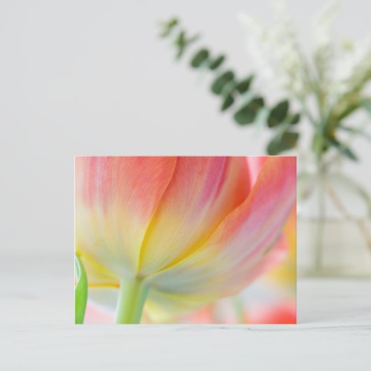 春の色・はがき ポストカード (スタンド正面)