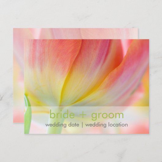 春の色・日付ポストカードの保存 案内ポストカード (正面/裏面)