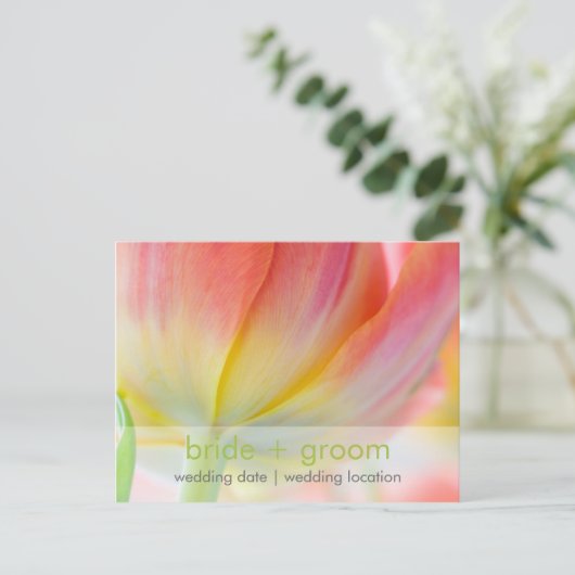 春の色・日付ポストカードの保存 案内ポストカード (スタンド正面)