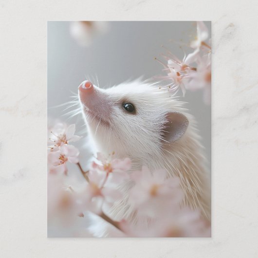 春の花々に囲まれた愛らしいハリネズミ ポストカード (正面)