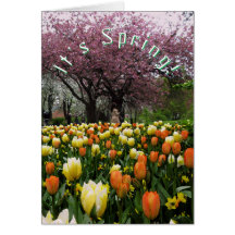 春の花および花の桜のカスタムの文字