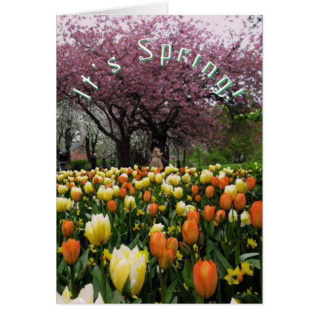 春の花および花の桜のカスタムの文字 (正面)