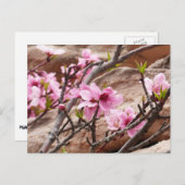 春の花がシオンロックに ポストカード (正面/裏面)