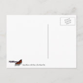 春の花がシオンロックに ポストカード (裏面)