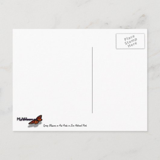 春の花がシオンロックに ポストカード (裏面)