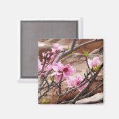 春の花がシオンロックに マグネット (正面/裏面)