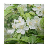 春の花が魅力的 タイル (正面)