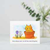 春の花に座るかわいいキャラクター猫 ポストカード (スタンド正面)
