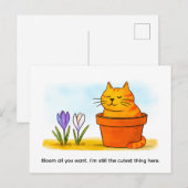 春の花に座るかわいいキャラクター猫 ポストカード (正面/裏面)