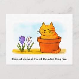 春の花に座るかわいいキャラクター猫 ポストカード
