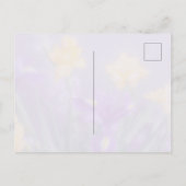 春の花のご挨拶、パステル調の美しい雰囲気 ポストカード (裏面)