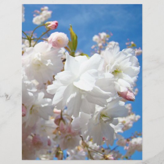 春の花のチラシ紙ブルースカイ花 チラシ (正面)