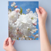 春の花のチラシ紙ブルースカイ花 チラシ (手)