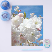 春の花のチラシ紙ブルースカイ花 チラシ (シングル)