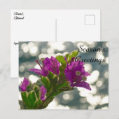 春の花のボケSeason's Greetings ポストカード (正面/裏面)