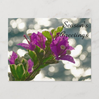 春の花のボケSeason's Greetings ポストカード