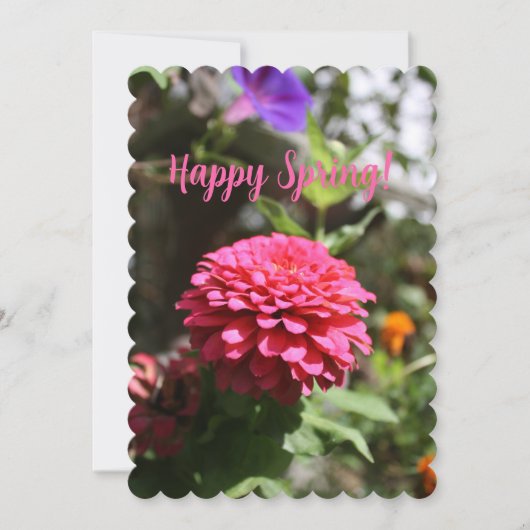 春の花の写真 (正面)