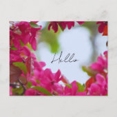 春の花の写真 ポストカード (正面)