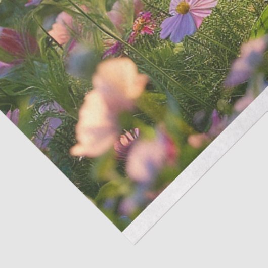 春の花の分離 薄葉紙 (詳細)