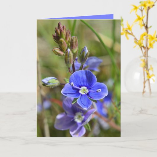 春の花の挨拶状 カード (黄色い花)