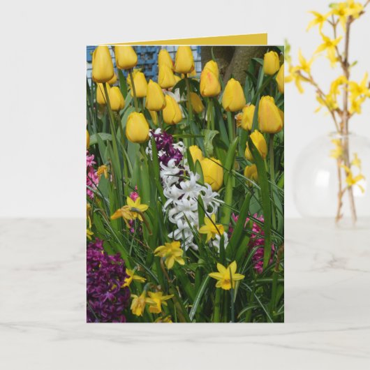 春の花の挨拶状 カード (黄色い花)