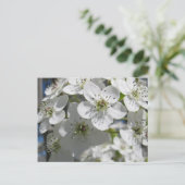 春の花の木の花のポストカード ポストカード (スタンド正面)