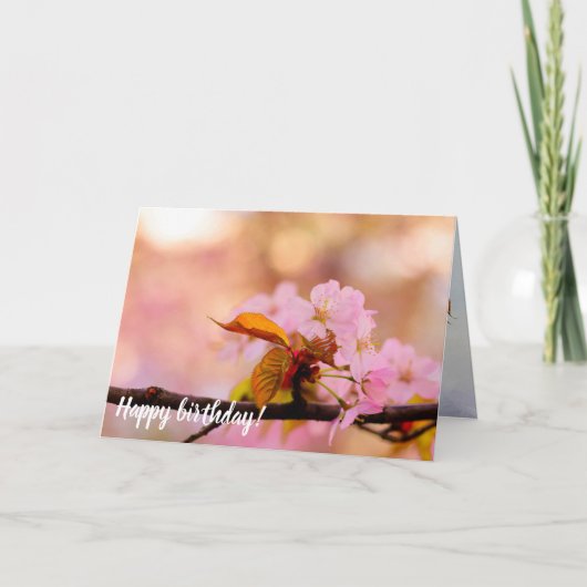 春の花の柔らかく暖かい桜 カード (正面)