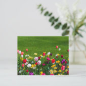 春の花はがき ポストカード (スタンド正面)