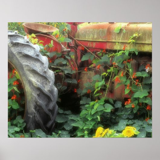 春の花は古いトラクターを飾る。 ポスター (正面)