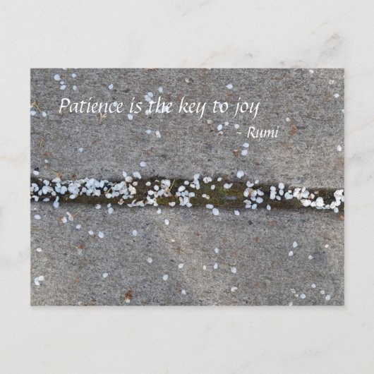 春の花びらのRumiの喜び ポストカード (正面)